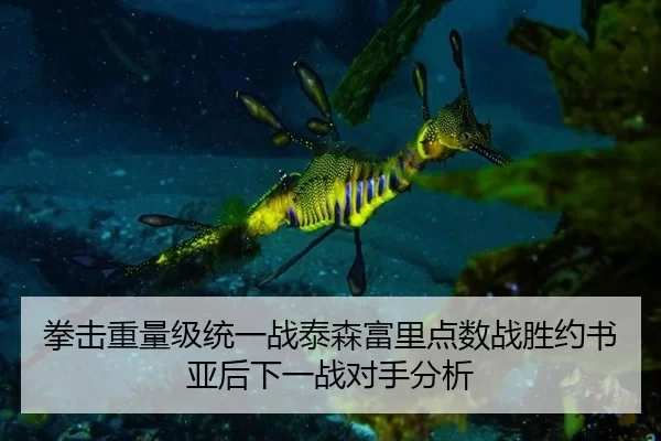 拳击重量级统一战泰森富里点数战胜约书亚后下一战对手分析